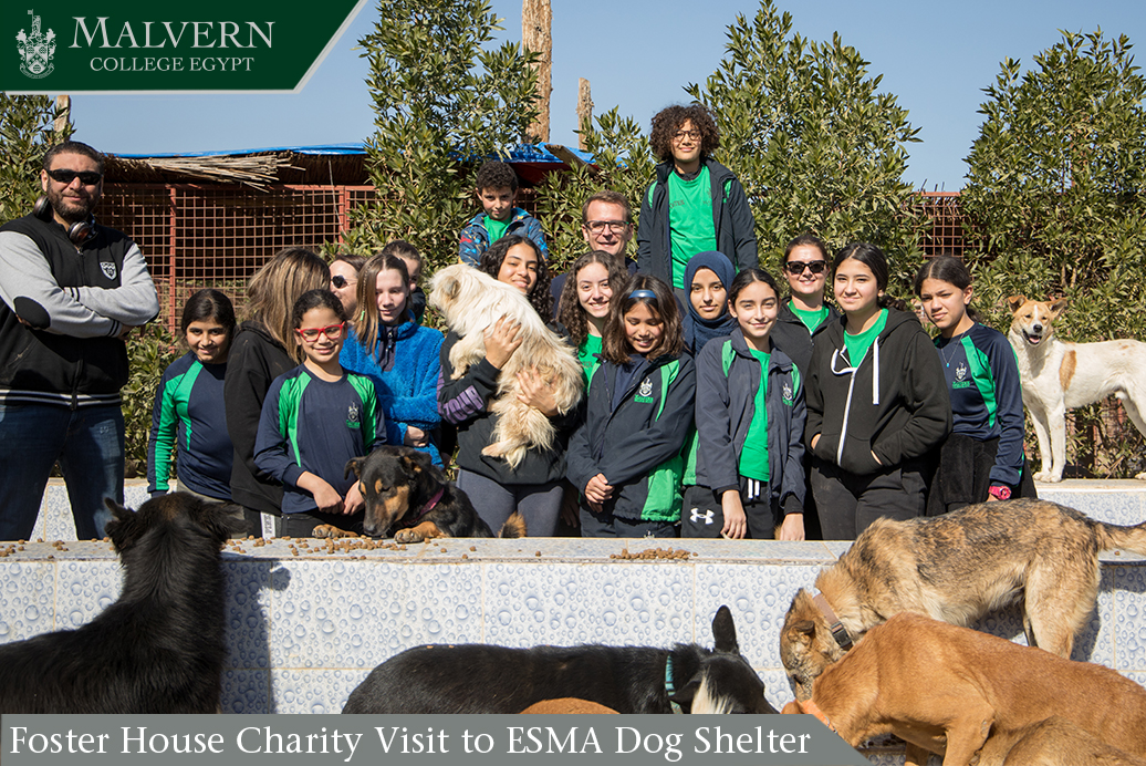 Foster House Charity Visit to ESMA Dog Shelter