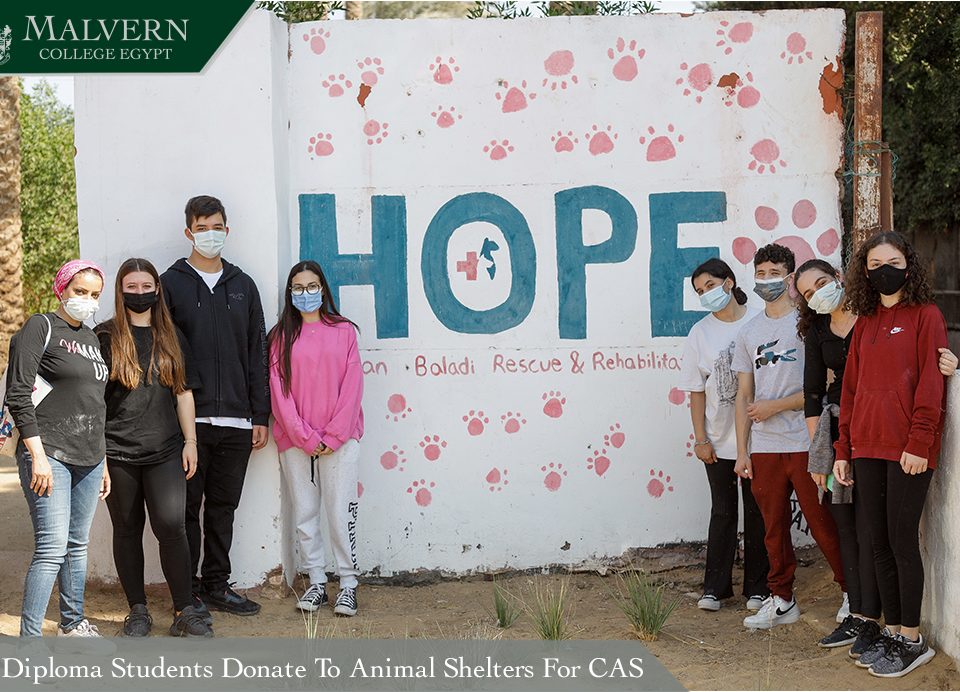 IBDP students donate to animals shelters for CAS