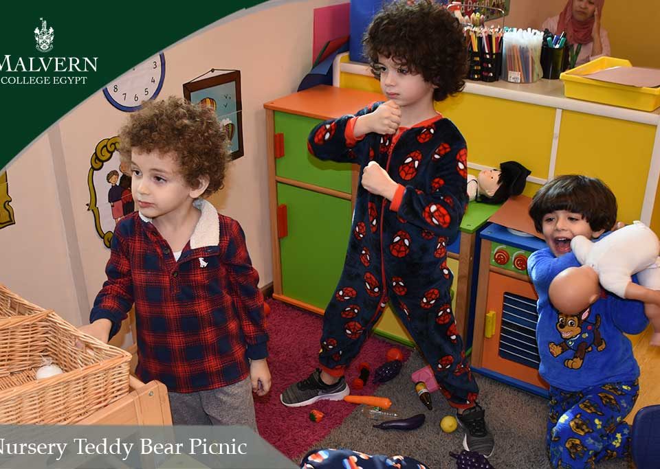 Nursery Teddy Bear Picnic