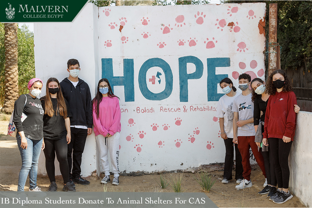 IB students donate to animals shelters for CAS